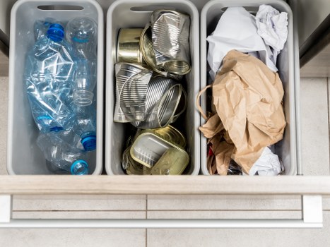 Benefits of professional waste management for businesses